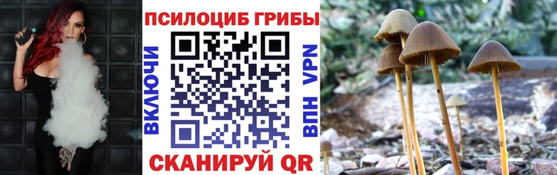купить наркотик  Крым  Галлюциногенные грибы Cubensis 
